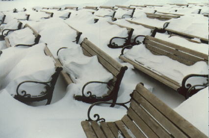 Lake Harriet Bandstand Benches in Snow